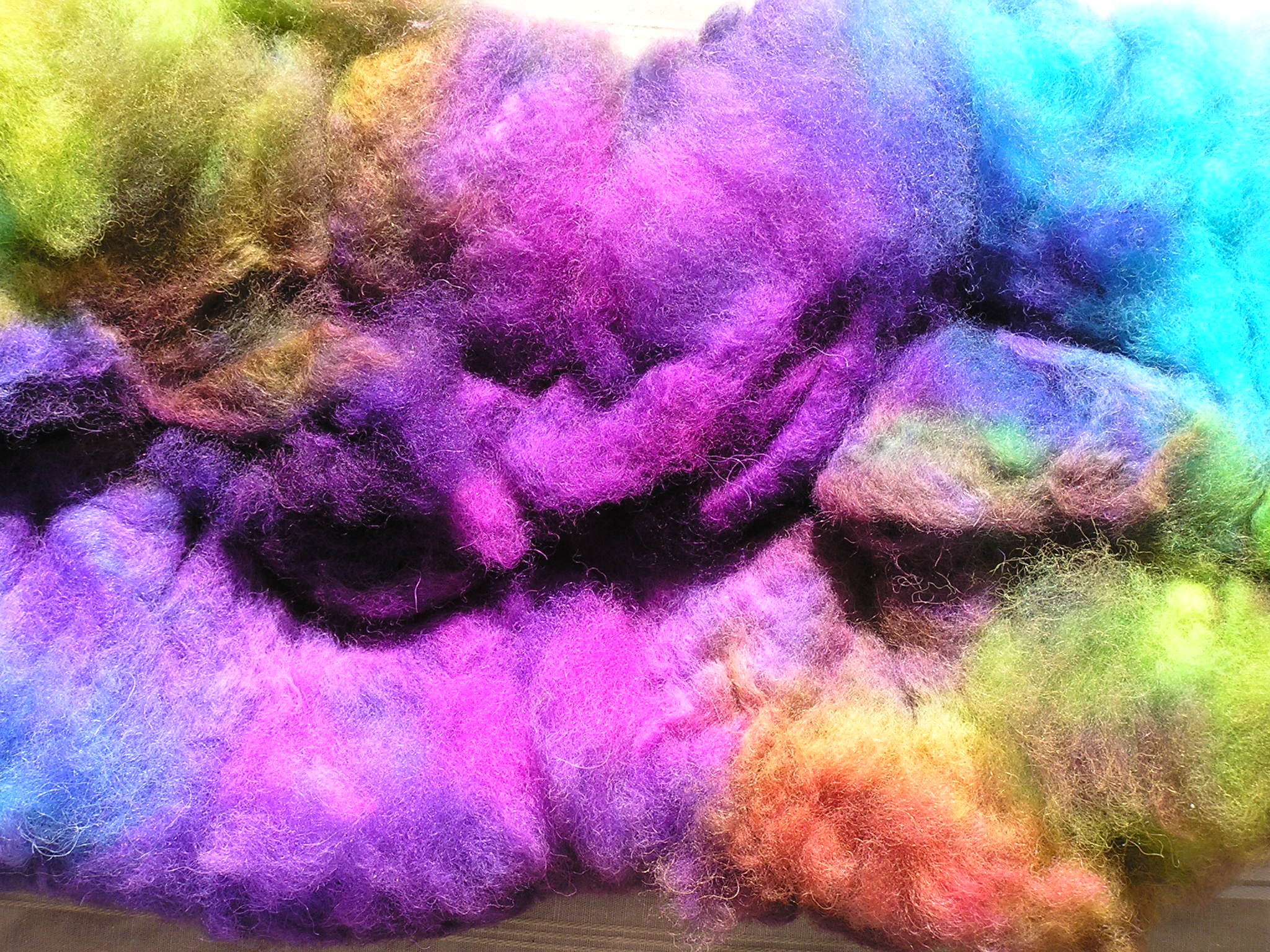 Dyed alpaca fibre drying